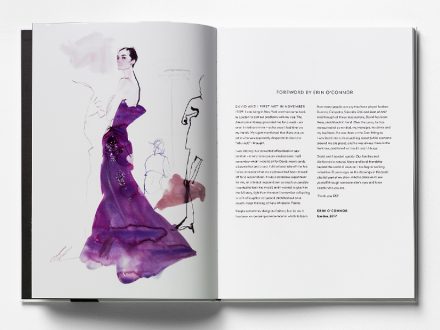 David Downton - DD21 Book